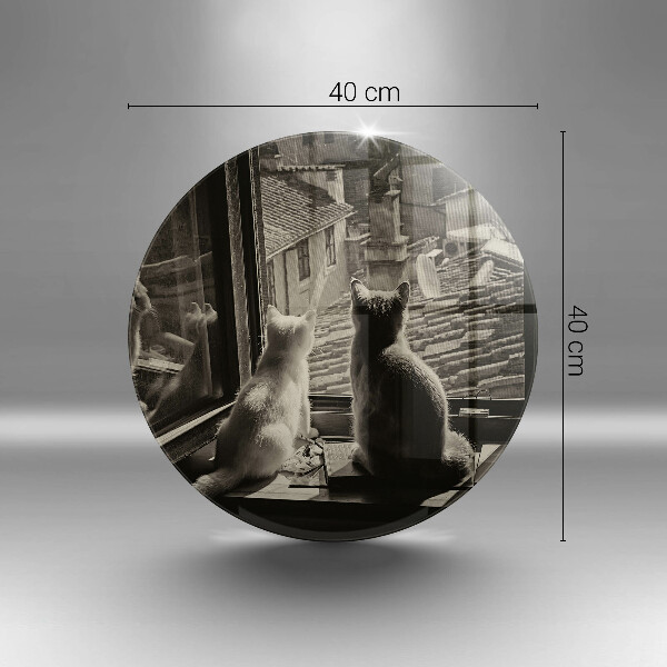 Protection plaque induction Ville et fenêtre des chats