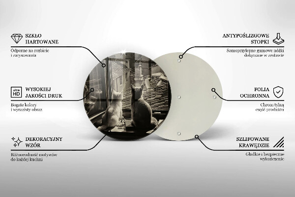 Protection plaque induction Ville et fenêtre des chats