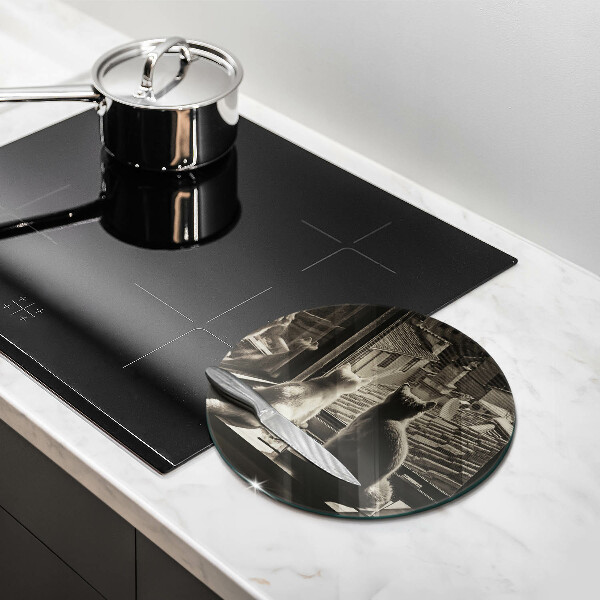 Protection plaque induction Ville et fenêtre des chats