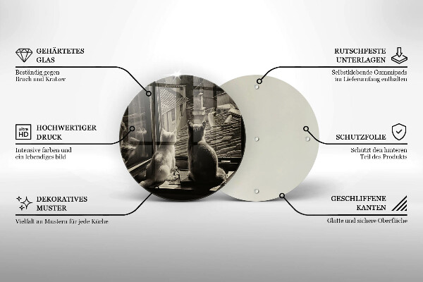 Protection plaque induction Ville et fenêtre des chats