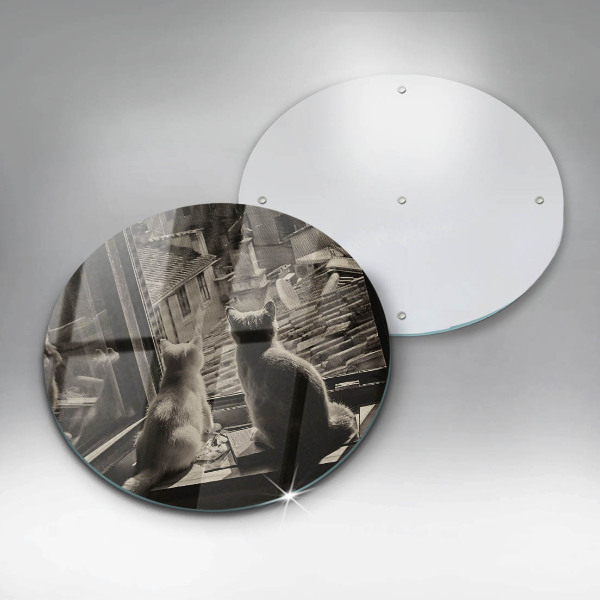 Protection plaque induction Ville et fenêtre des chats