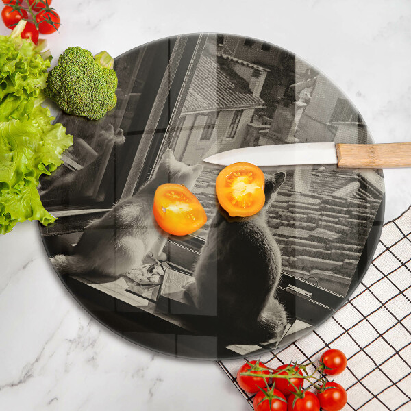 Protection plaque induction Ville et fenêtre des chats