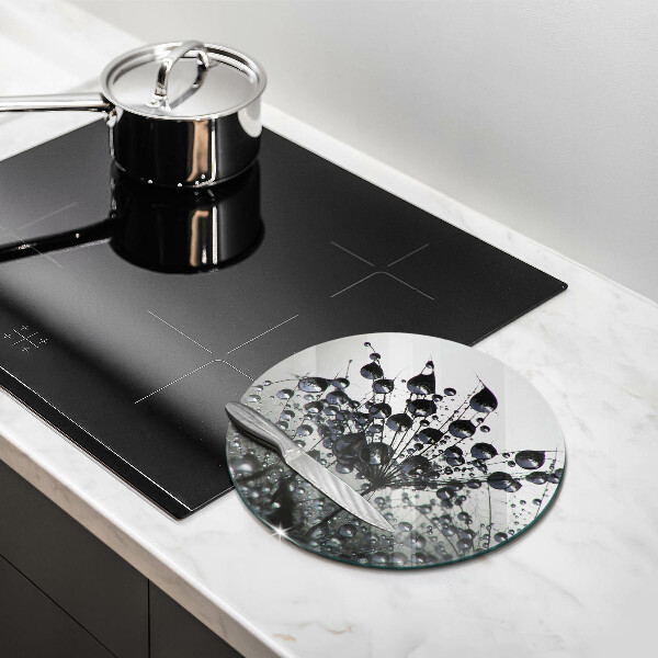 Protection plaque induction Pissenlits et rosée