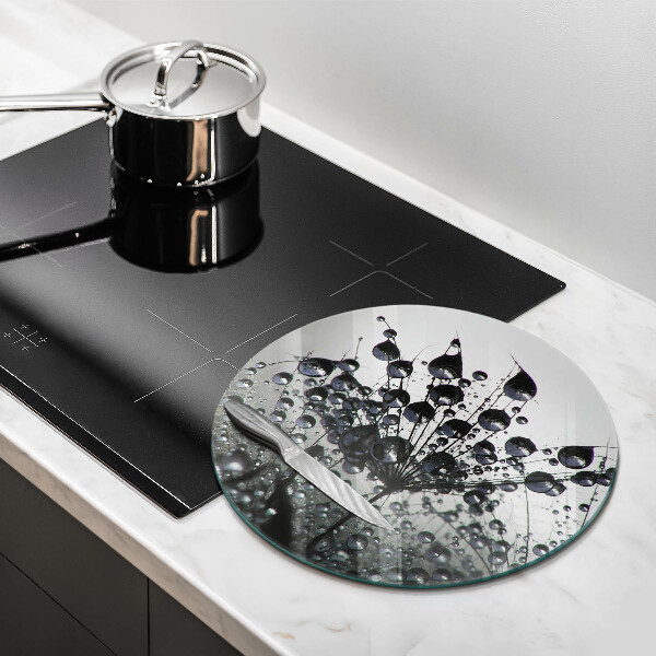 Protection plaque induction Pissenlits et rosée