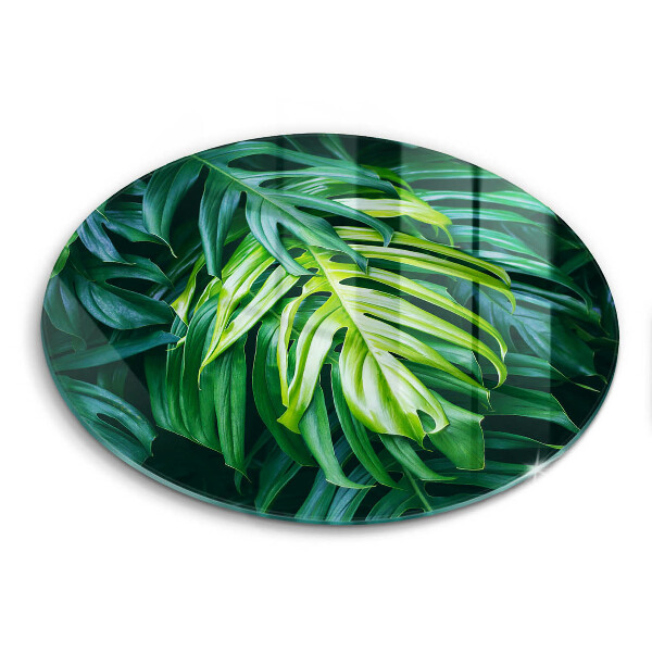 Protection plaque induction Feuilles de monstera sauvage