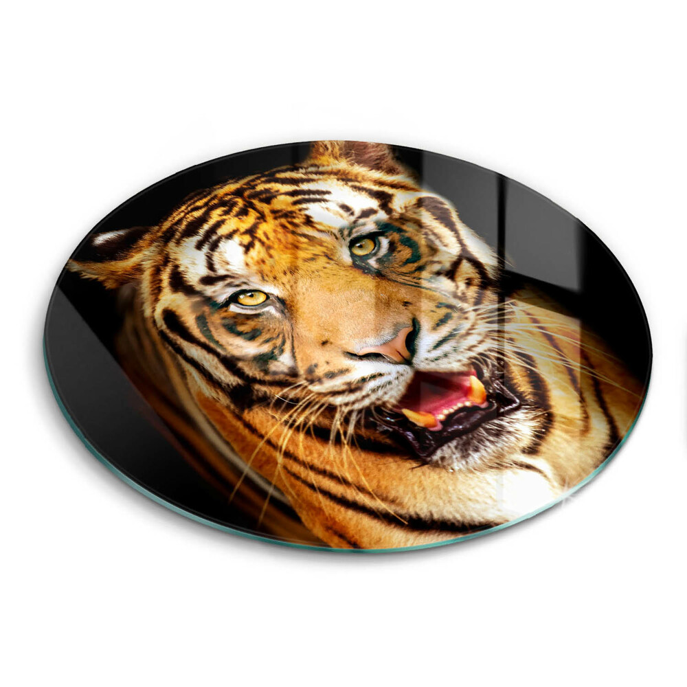 Protection plaque induction Tigre animal sauvage
