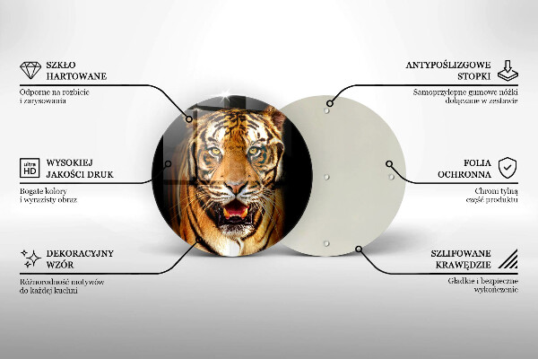 Protection plaque induction Tigre animal sauvage