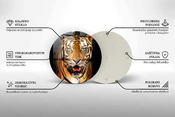 Protection plaque induction Tigre animal sauvage