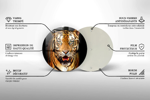 Protection plaque induction Tigre animal sauvage