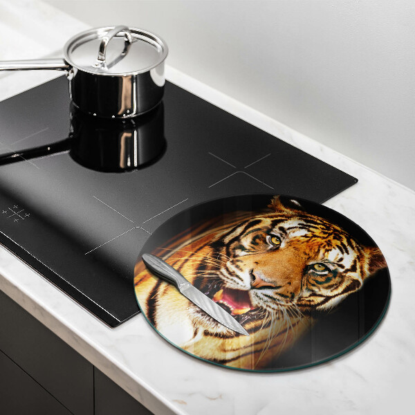 Protection plaque induction Tigre animal sauvage