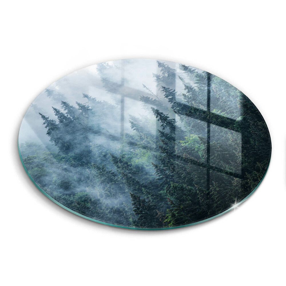 Protection plaque induction Arbres forestiers et brouillard