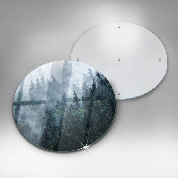 Protection plaque induction Arbres forestiers et brouillard
