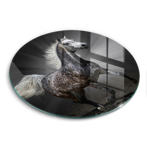 Protection plaque induction Cheval au galop