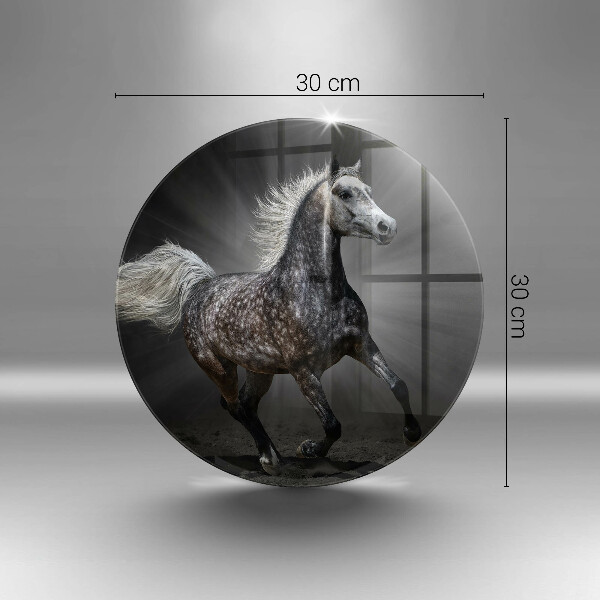 Protection plaque induction Cheval au galop