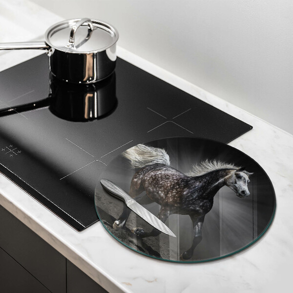 Protection plaque induction Cheval au galop