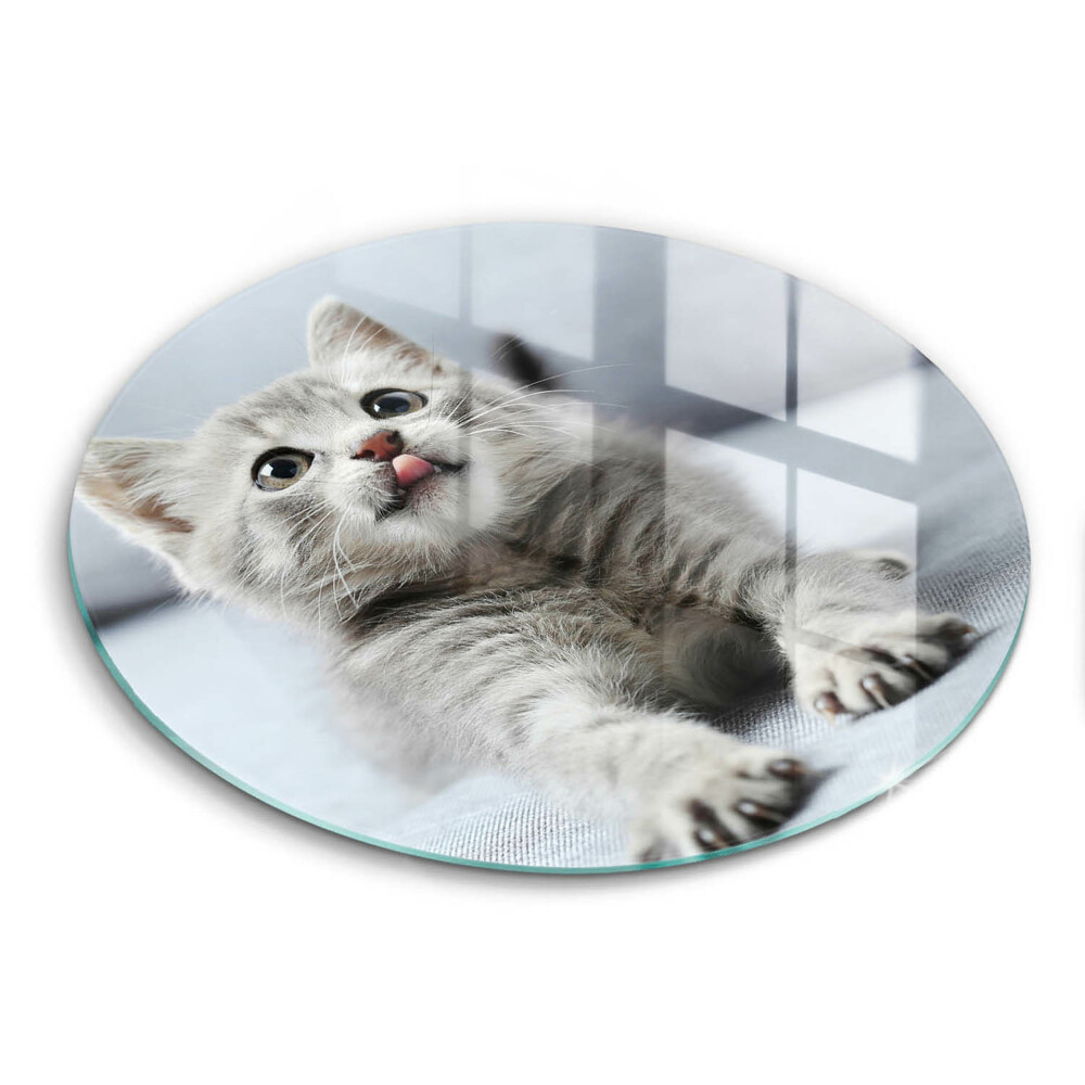 Protection plaque induction Petit chaton mignon