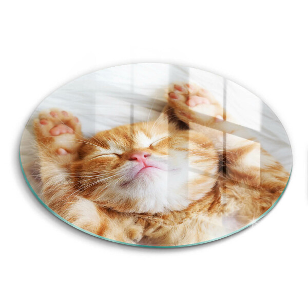 Protection plaque induction Petit chaton mignon