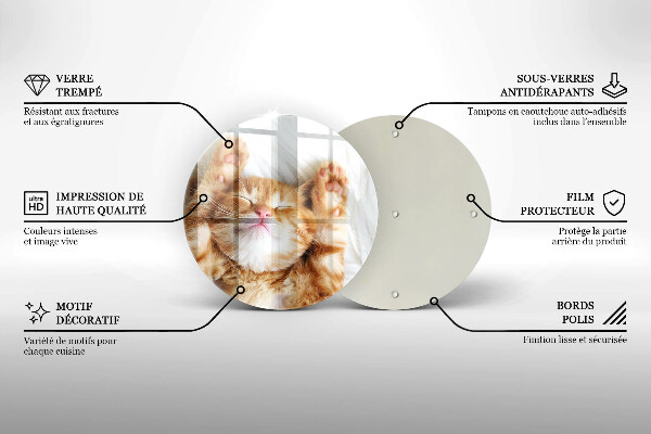 Protection plaque induction Petit chaton mignon