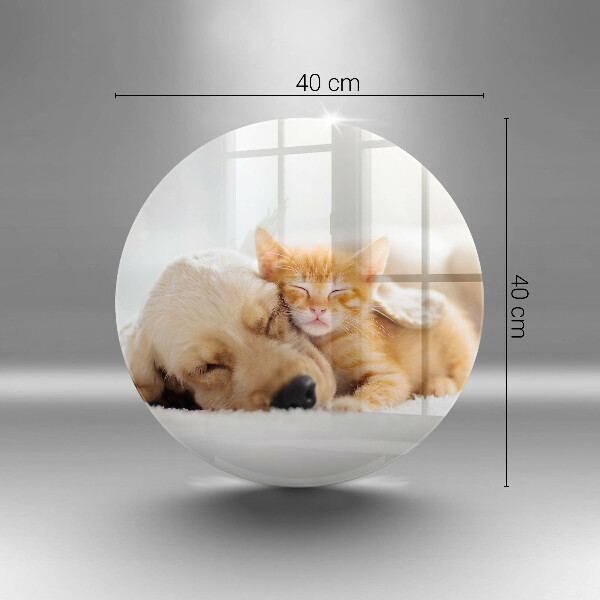 Protection plaque induction Animaux chien et chat