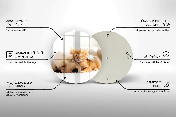 Protection plaque induction Animaux chien et chat