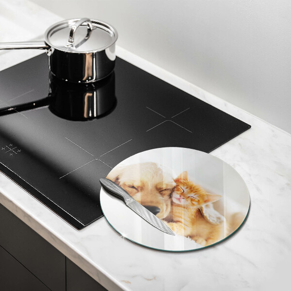 Protection plaque induction Animaux chien et chat