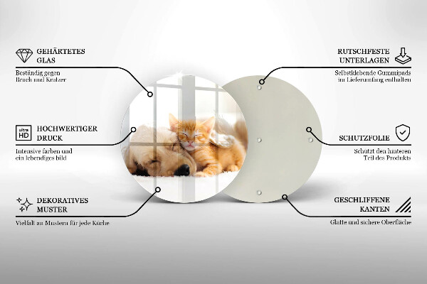 Protection plaque induction Animaux chien et chat