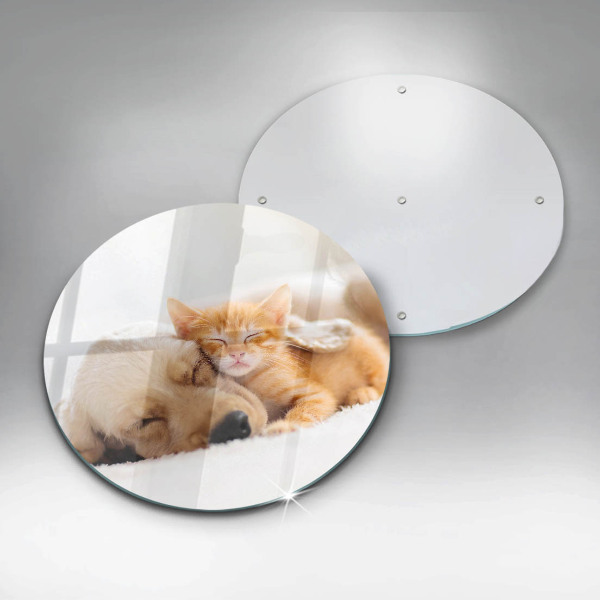 Protection plaque induction Animaux chien et chat