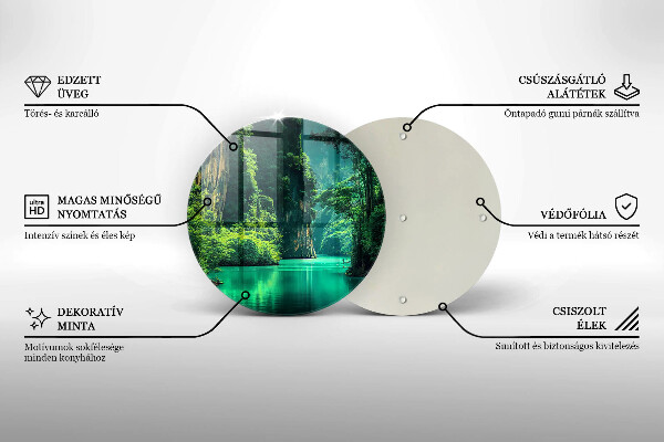 Protection plaque induction Paysage lagon