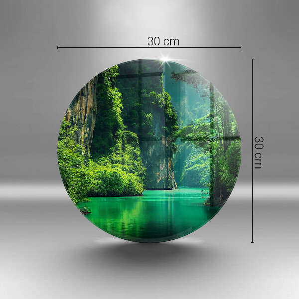 Protection plaque induction Paysage lagon