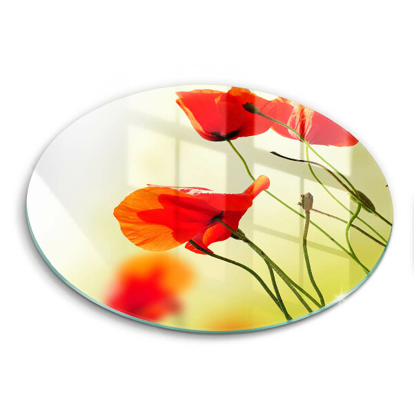 Protection plaque induction Fleurs de coquelicots rouges