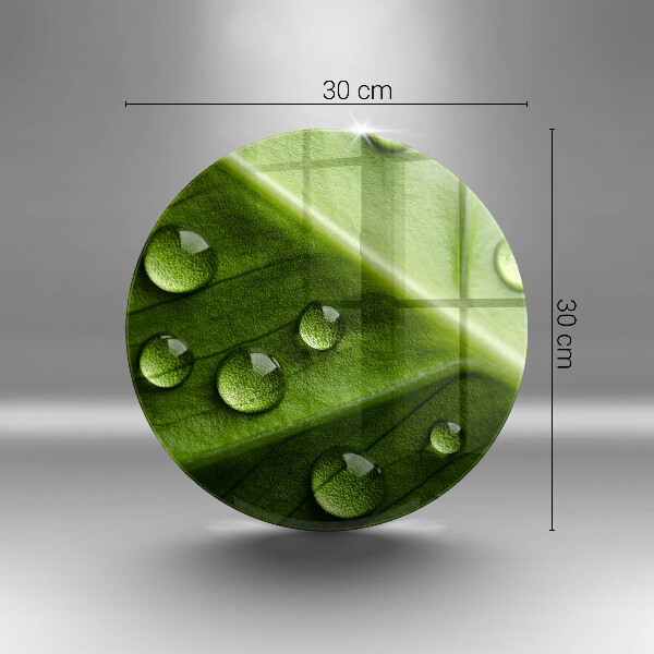 Protection plaque induction Nature rosée et feuille