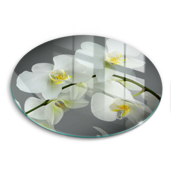 Protection plaque induction Fleurs d'orchidées blanches