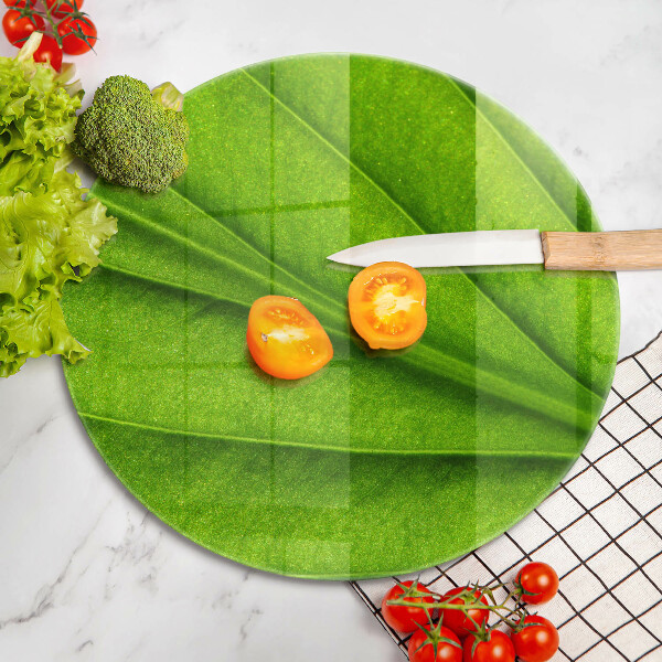 Protection plaque induction Feuille de veine naturelle