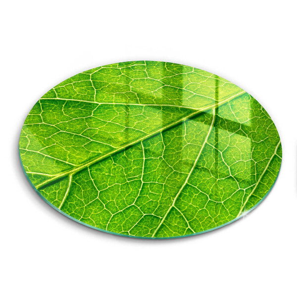 Protection plaque induction Nervures des feuilles naturelles