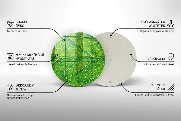 Protection plaque induction Nervures des feuilles naturelles