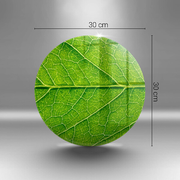 Protection plaque induction Nervures des feuilles naturelles