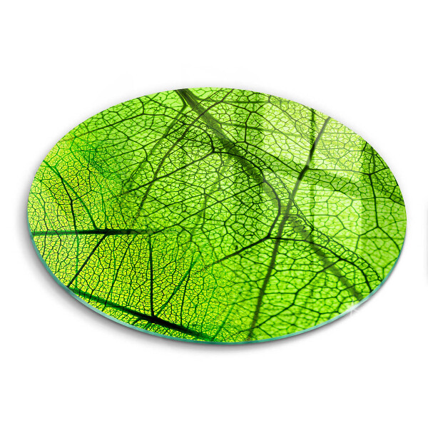 Protection plaque induction Nervures des feuilles naturelles