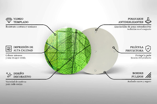 Protection plaque induction Nervures des feuilles naturelles