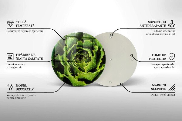 Protection plaque induction Manger des feuilles de laitue