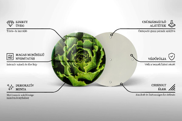 Protection plaque induction Manger des feuilles de laitue