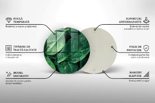 Protection plaque induction Feuilles de basilic