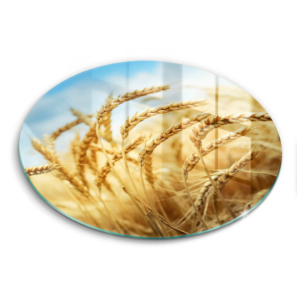 Protection plaque induction Épis de céréales dans le champ