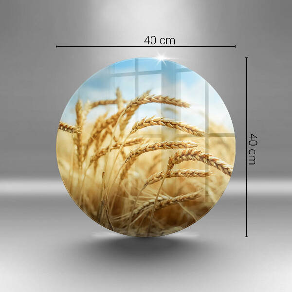 Protection plaque induction Épis de céréales dans le champ