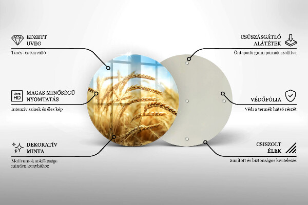 Protection plaque induction Épis de céréales dans le champ