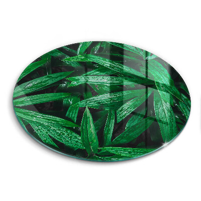 Protection plaque induction Feuilles de plantes