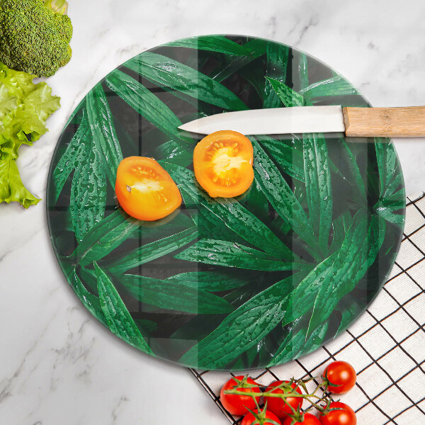 Protection plaque induction Feuilles de plantes