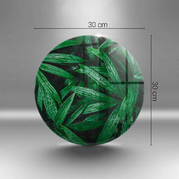 Protection plaque induction Feuilles de plantes