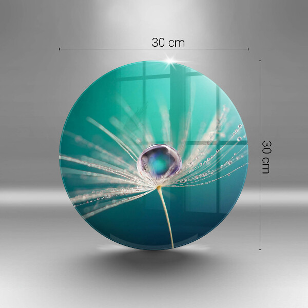 Protection plaque induction Rosée sur un pissenlit