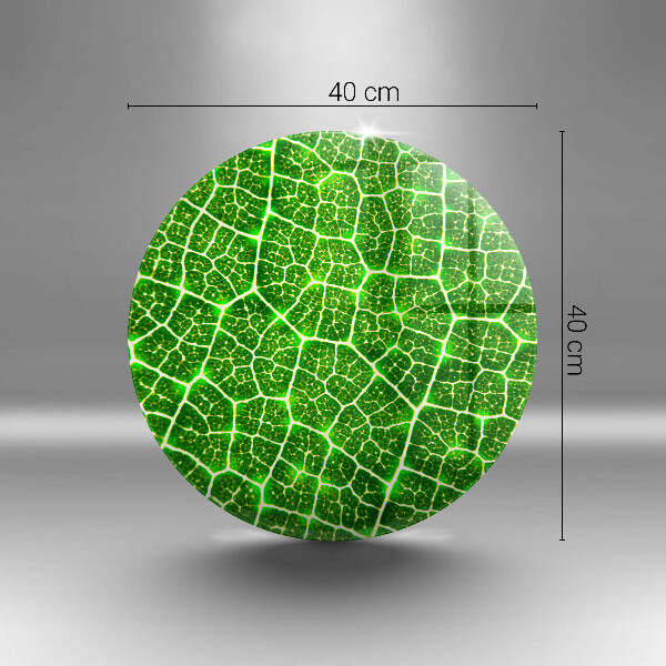 Protection plaque induction Structure des feuilles