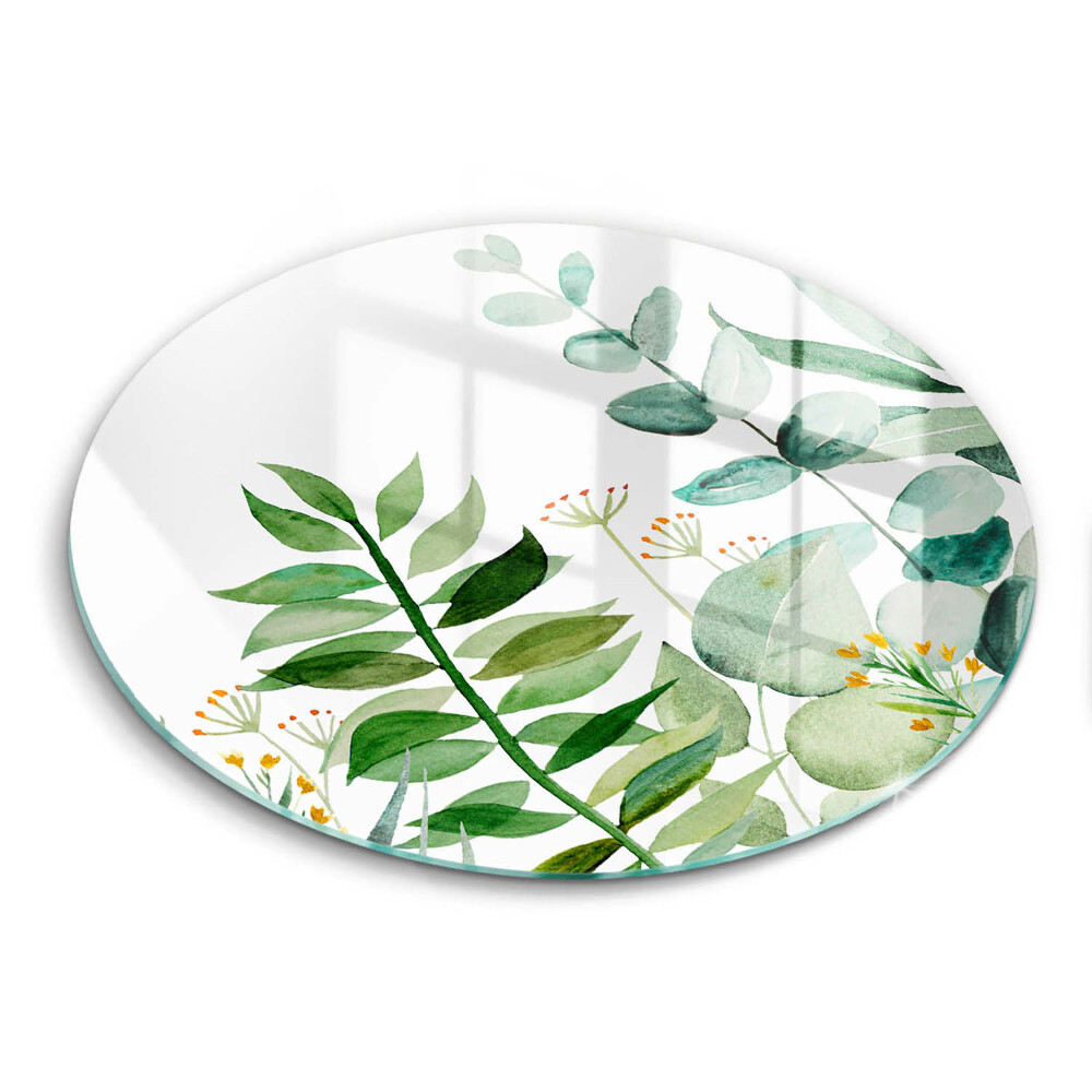 Protection plaque induction Illustration de feuilles de plantes
